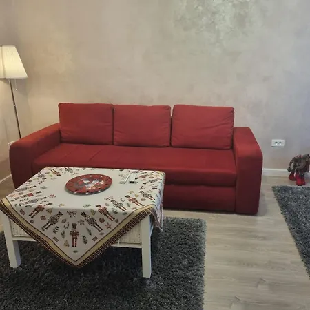 Apartment Coresi View