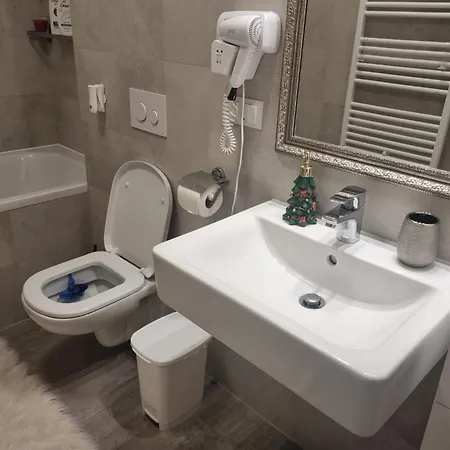 Apartment Coresi View Brasov