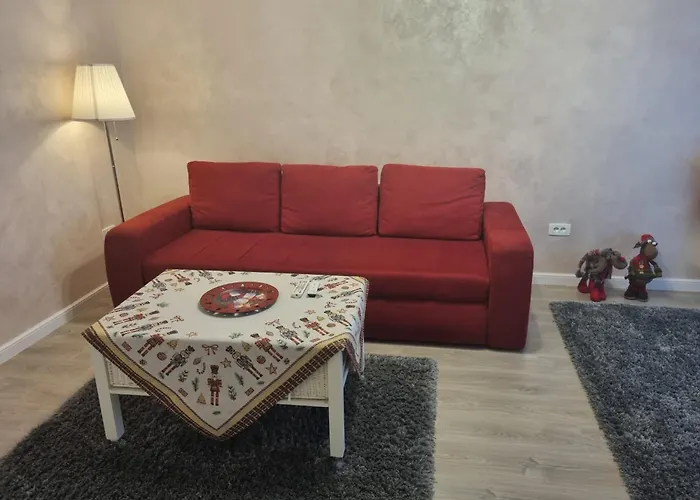 Apartment Coresi View