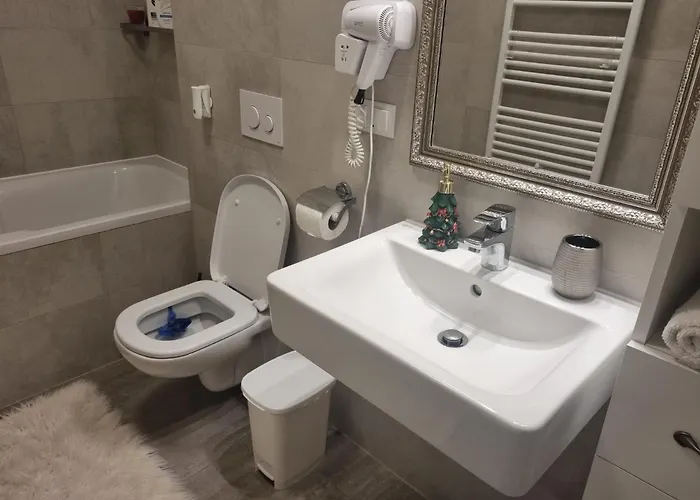 Apartment Coresi View Brasov