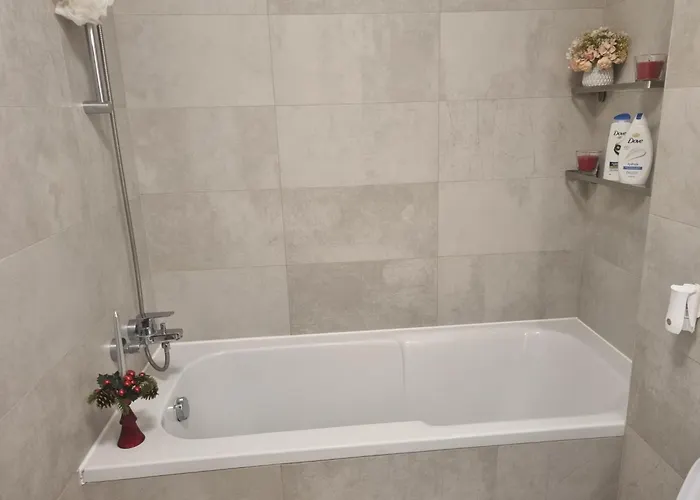 Coresi View Apartment